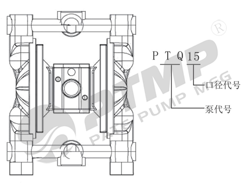 PTQ隔膜泵型號意義500.jpg